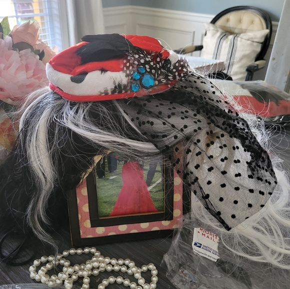 Cruella Deville Costume set Wig + Accessories - Picture 5 of 8